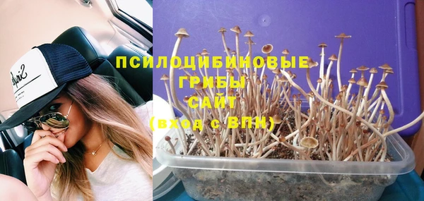 ГАЛЛЮЦИНОГЕННЫЕ ГРИБЫ Кинешма