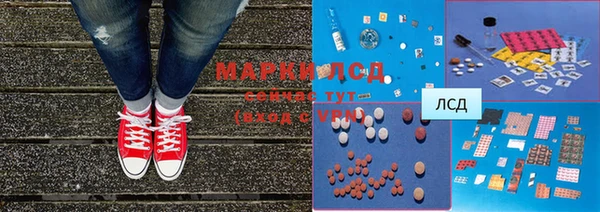 PSILOCYBIN Карпинск