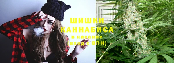индика Каменка